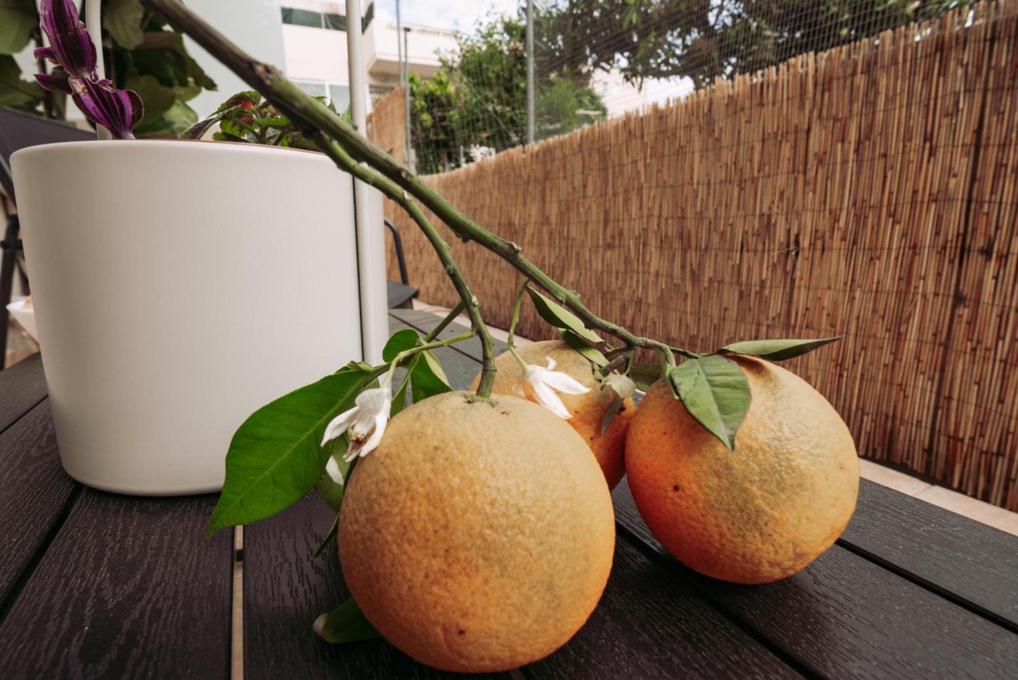Summer Blue Apartments Chania خانيا المظهر الخارجي الصورة